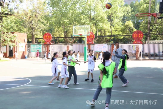 篮球训练技术动作视频下载教程_1